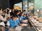 “探秘自然瑰宝，解锁亲子研学趣时光”新街社区自然教育亲子研学活动简报